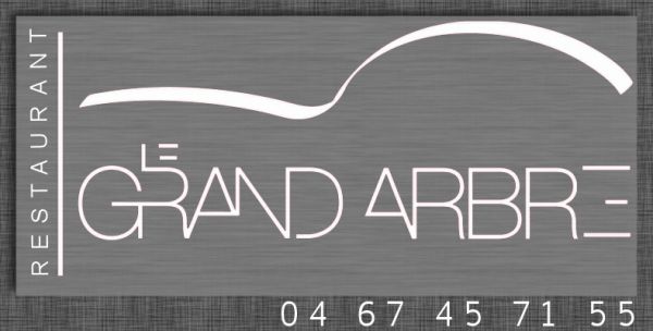 le grand arbre asi informatique restaurant gastro gastronomique montpellier